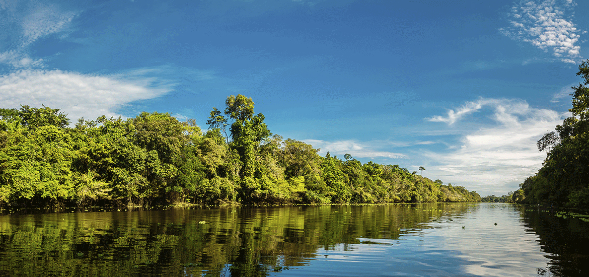 Aventura en la Selva