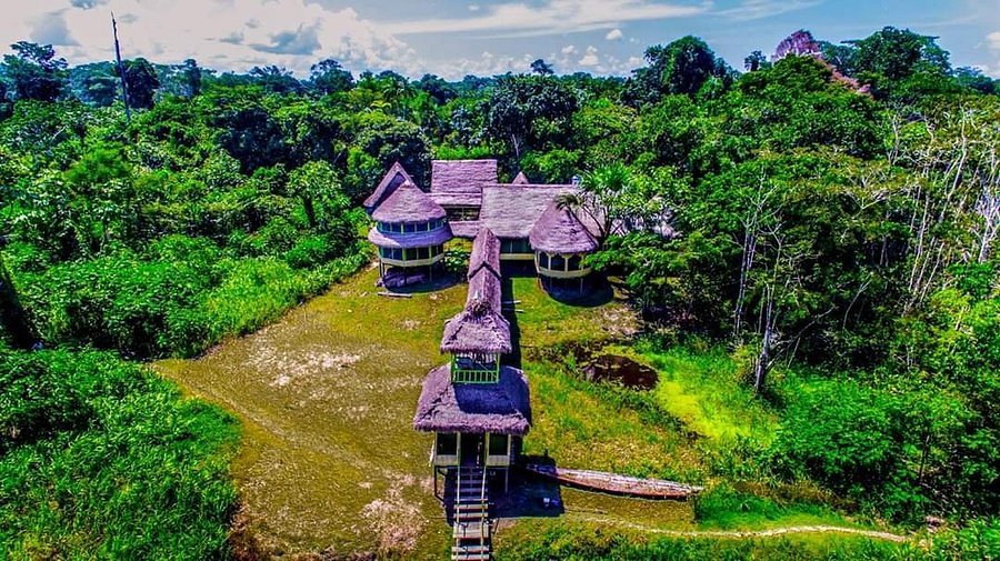 Observación de Fauna